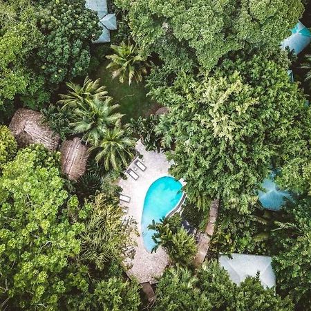Copal Tree Lodge A Muy'Ono Resort Toledo District Eksteriør bilde