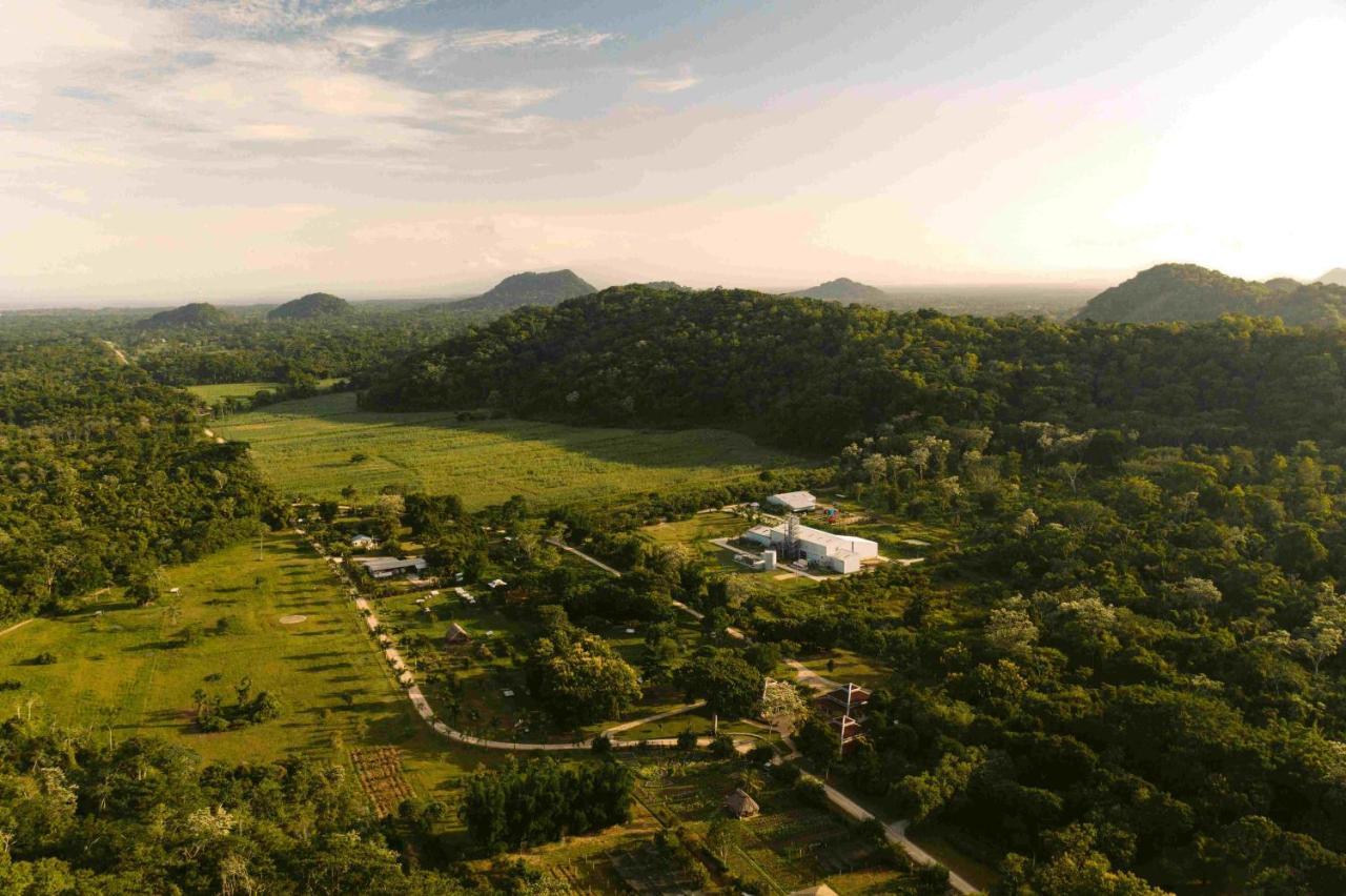 Copal Tree Lodge A Muy'Ono Resort Toledo District Eksteriør bilde