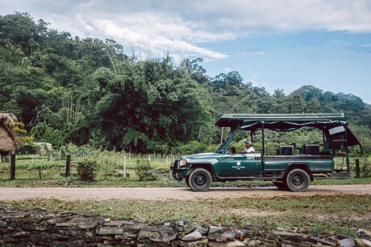 Copal Tree Lodge A Muy'Ono Resort Toledo District Eksteriør bilde