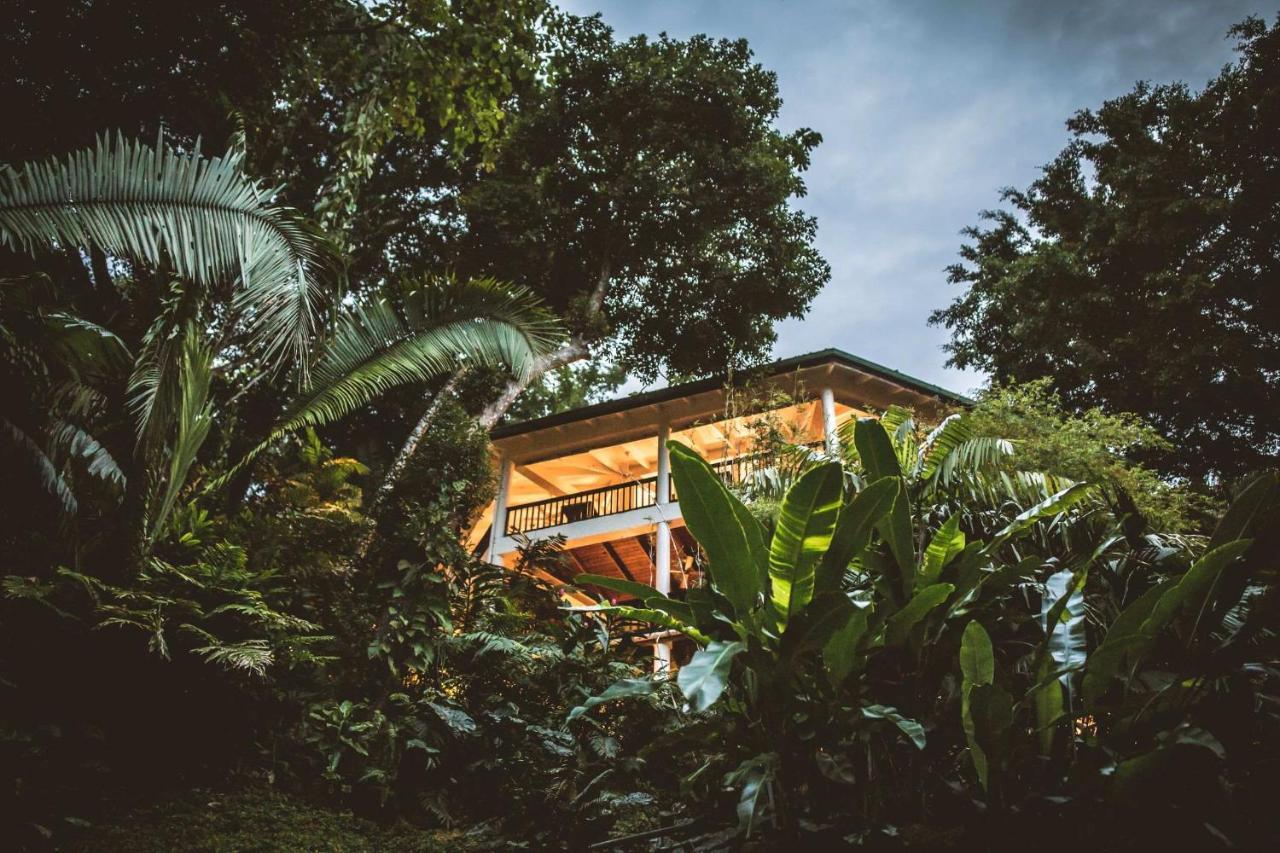 Copal Tree Lodge A Muy'Ono Resort Toledo District Eksteriør bilde